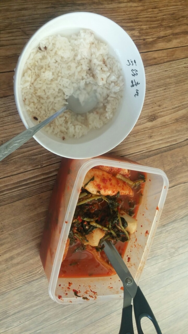 자미 이미지