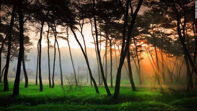 많은 사람들이 잘 모르는 한국의 아름다움 | 인스티즈