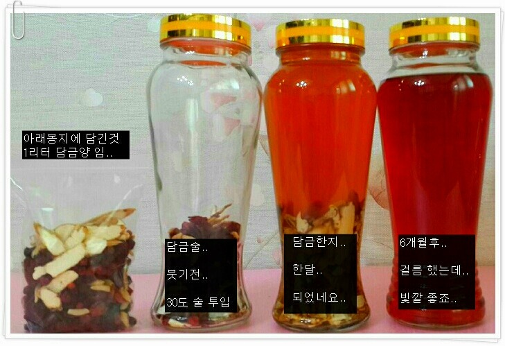 담금 이미지