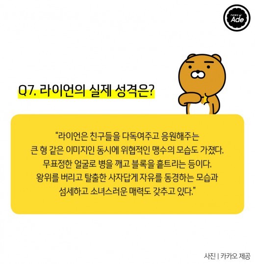 라이언에 대한 궁금증 몇가지 | 인스티즈