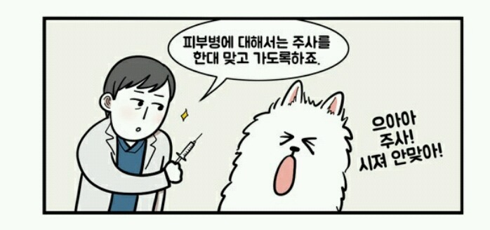 대형견 키우는 사람 공감 | 인스티즈