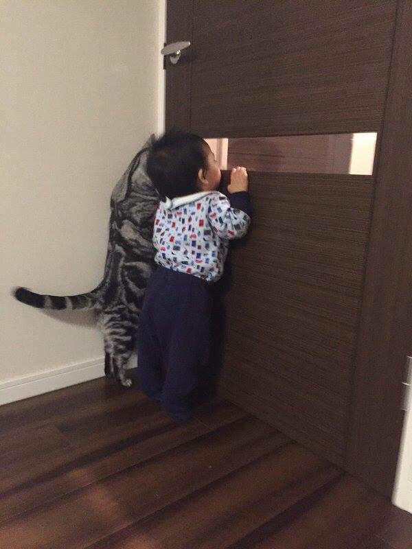 같이보자냥~!! | 인스티즈