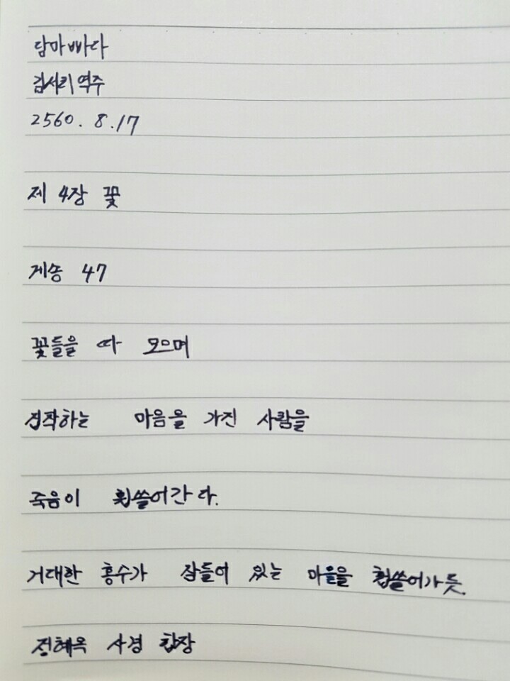 화양품 이미지