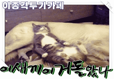 클럽 놀러간 정상수 | 인스티즈