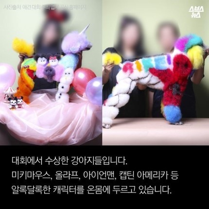 강아지가 도화지야???? | 인스티즈