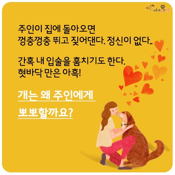 강아지가 뽀뽀 하는이유 | 인스티즈