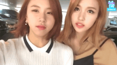 [트와이스] 멤버 조합에 따라 달라지는 방송 분위기 ㅋㅋ | 인스티즈