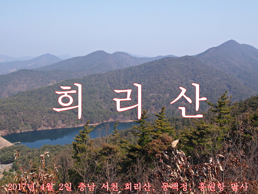 서천MTB 이미지