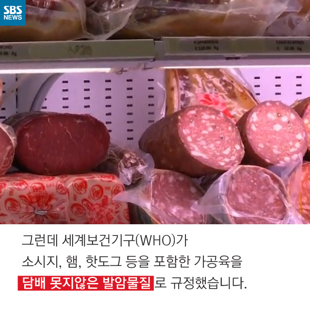 소시지는 암을 유발한다(?) | 인스티즈