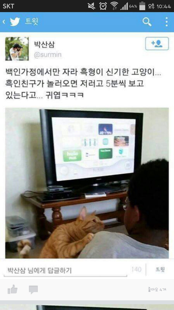 집사의 흑인 친구가 신기한 고양이 (고전주의) | 인스티즈