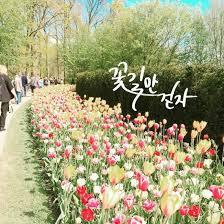 주관적인 2016년도 최고의 유행어.jpg | 인스티즈