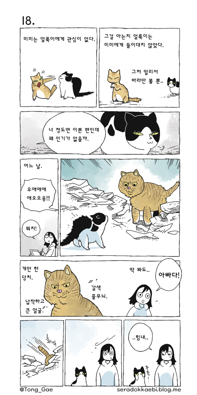 고양이 여덟마리와 살았다 17~21 | 인스티즈