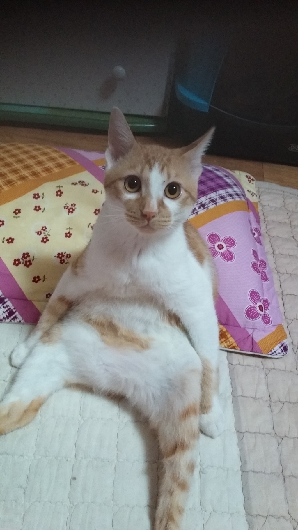 오늘은머리하는날 이미지
