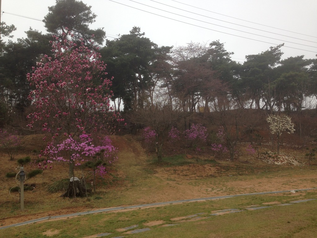 진경원민박캠핑장 이미지
