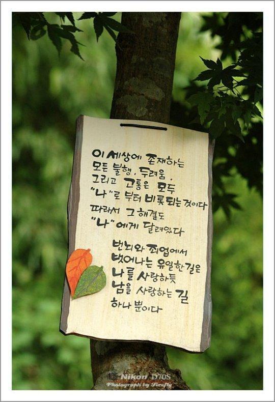 트로피아 이미지