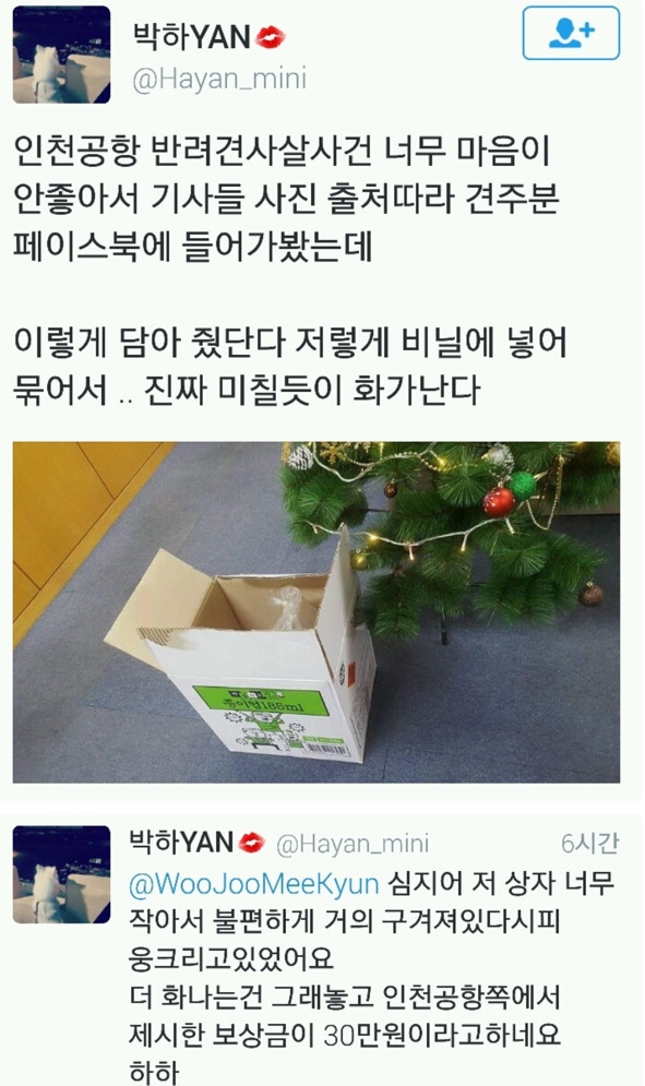 인천공항에서 사살된 강아지에 보상금 30만원 제시.. | 인스티즈