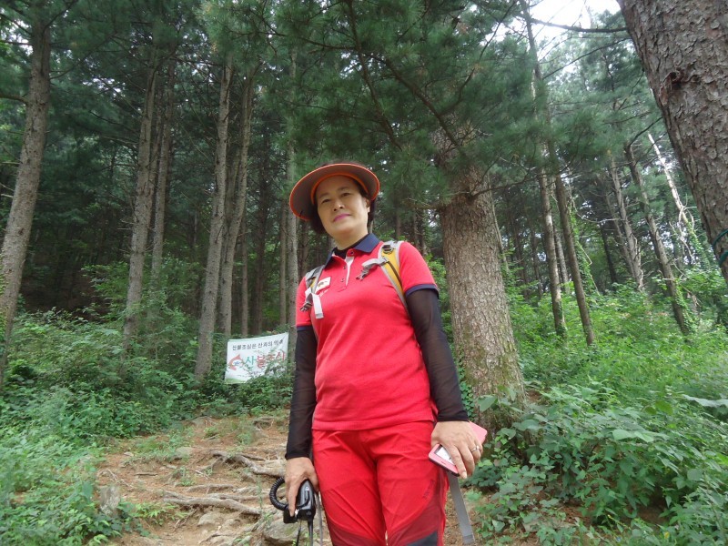 어비산 정상(829m) 이미지