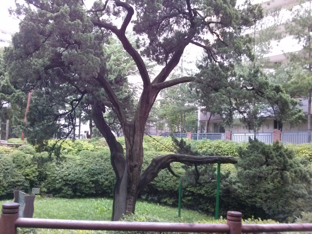 나린마트 이미지