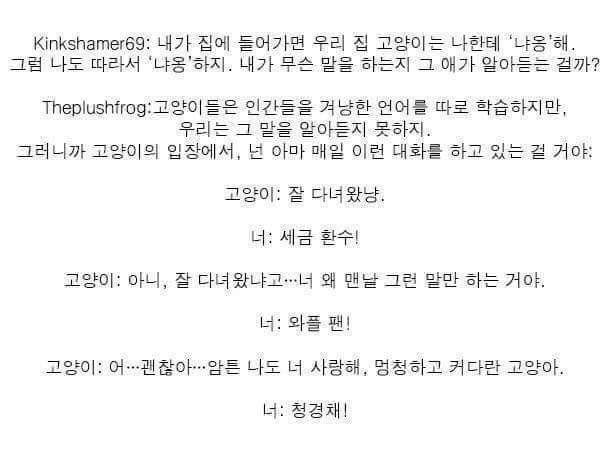 개와 고양이의 차이점 | 인스티즈