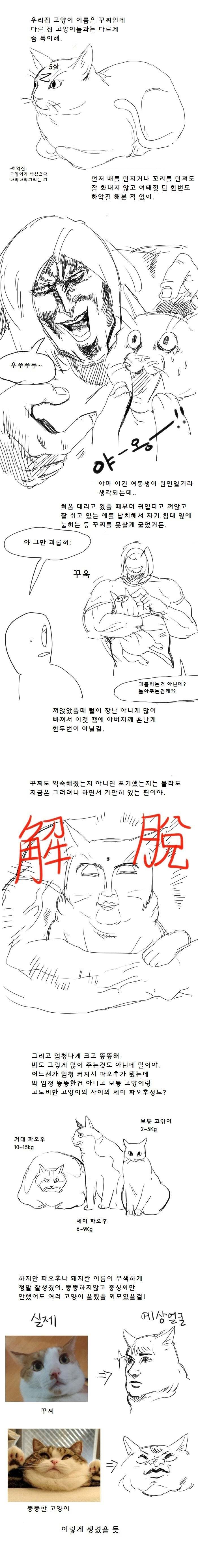 DC 냥갤의 고양이 웹툰 | 인스티즈