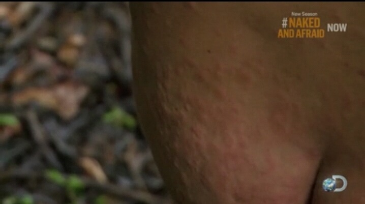 [NakedandAfraid] 벌거벗고 정글에서 살아남기 s2e1-1 | 인스티즈