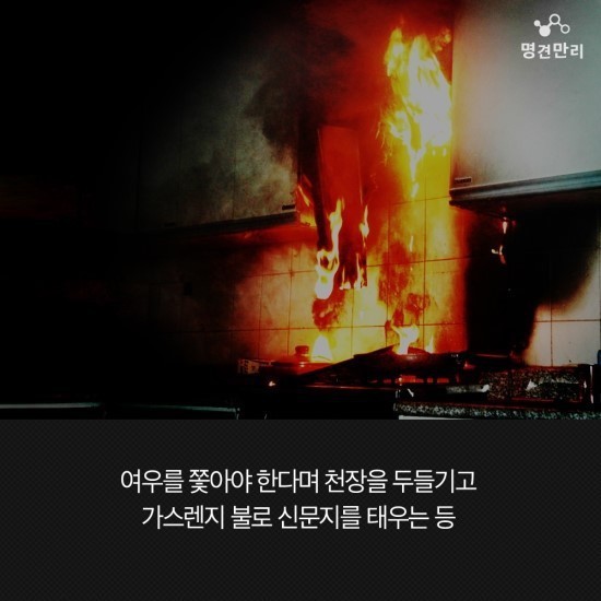 교토 모친 살해 사건의 전말 | 인스티즈