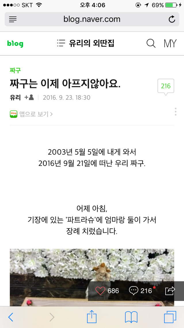 다음웹툰 뽀짜툰 짜구가 하늘나라로 떠났습니다 | 인스티즈