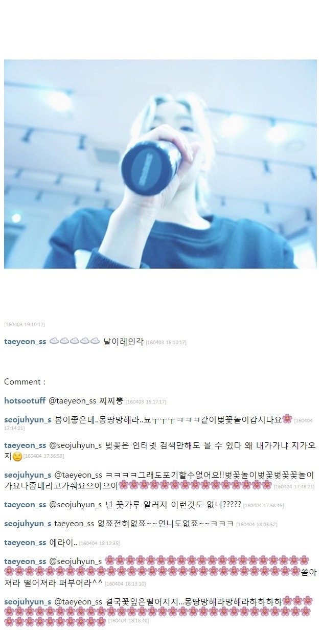 소녀시대 태연과 서현의 벚꽃 댓글 공방전 | 인스티즈
