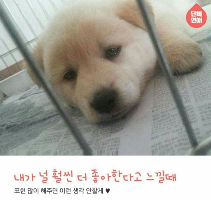 휴휴가 이미지