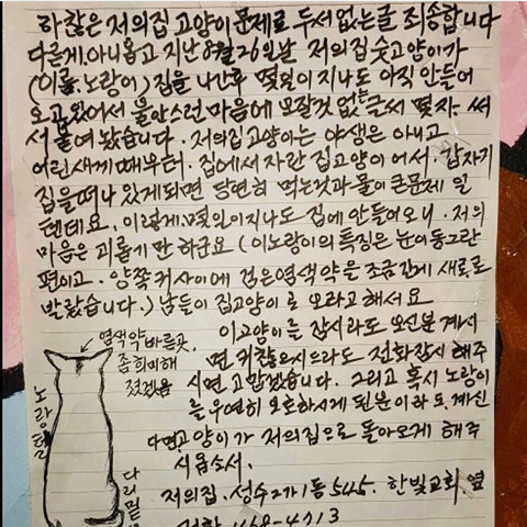 서울시 성동구에서 80세 할아버지가 키우시는 고양이를 찾아주세요! | 인스티즈