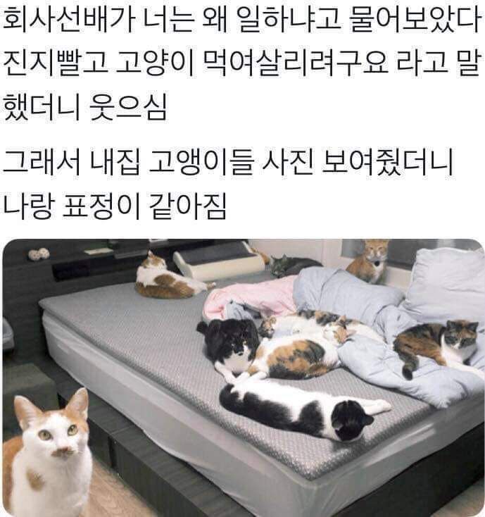 회사선배가 너는 왜 일하냐고 물었다 | 인스티즈