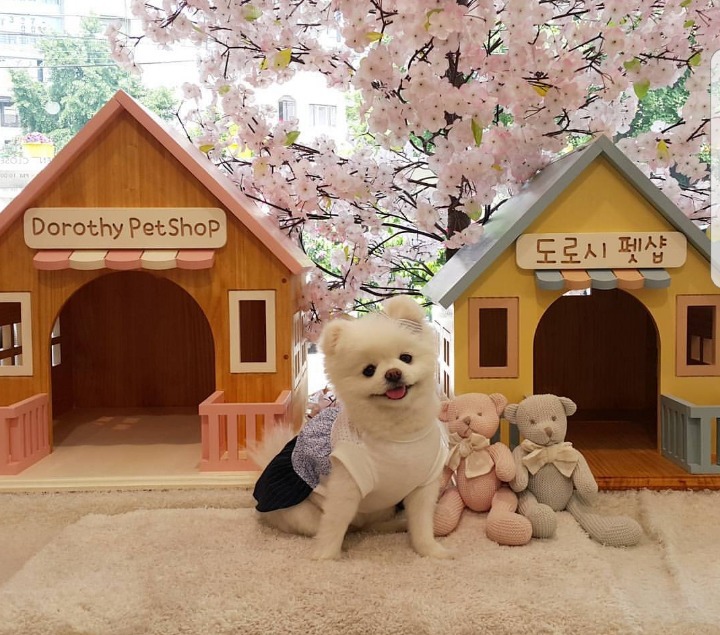 [스타1] 이 유닛들 사기다 vs 아니다 | 인스티즈