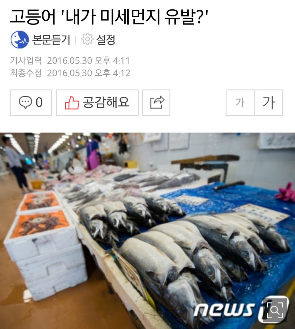 503 때 미세먼지 대책 | 인스티즈