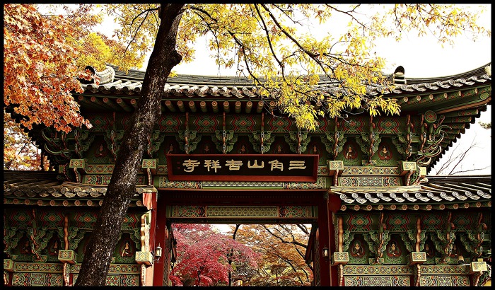 마메드네일 이미지