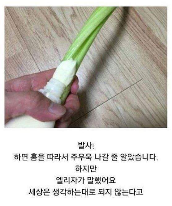 어느 한 블로거의 의식의 흐름.jpg (ㄹㅇ의식의 흐름 주의) (묘하게 논리적 주의) | 인스티즈