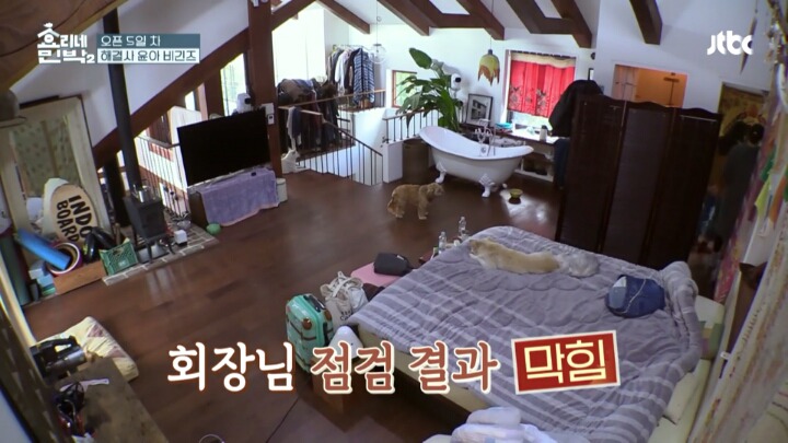 [효리네민박2] 만능일꾼 윤아의 변기 뚫기 .jpg | 인스티즈