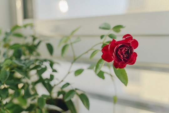  이별을 생각하지 말아야 한다 | 인스티즈