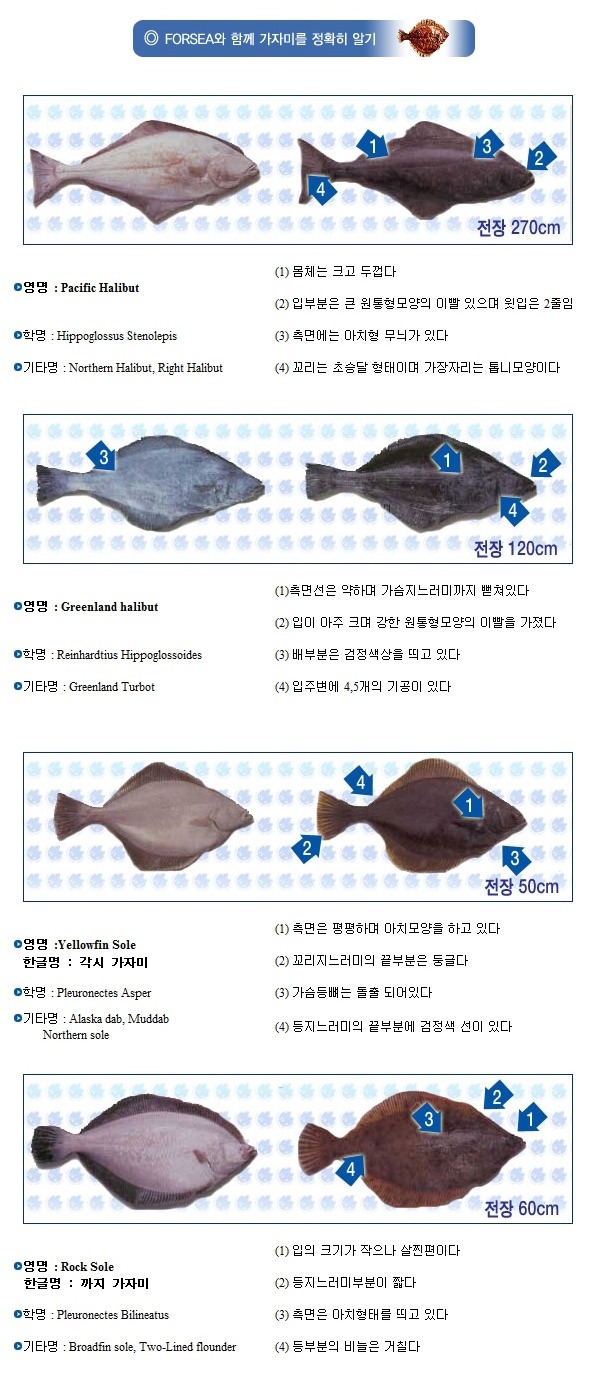 미류 이미지
