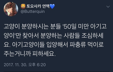 아기고양이를 입양해 파충류 먹이로 주려는 일부 몰상식한 파충류 사육자들 | 인스티즈