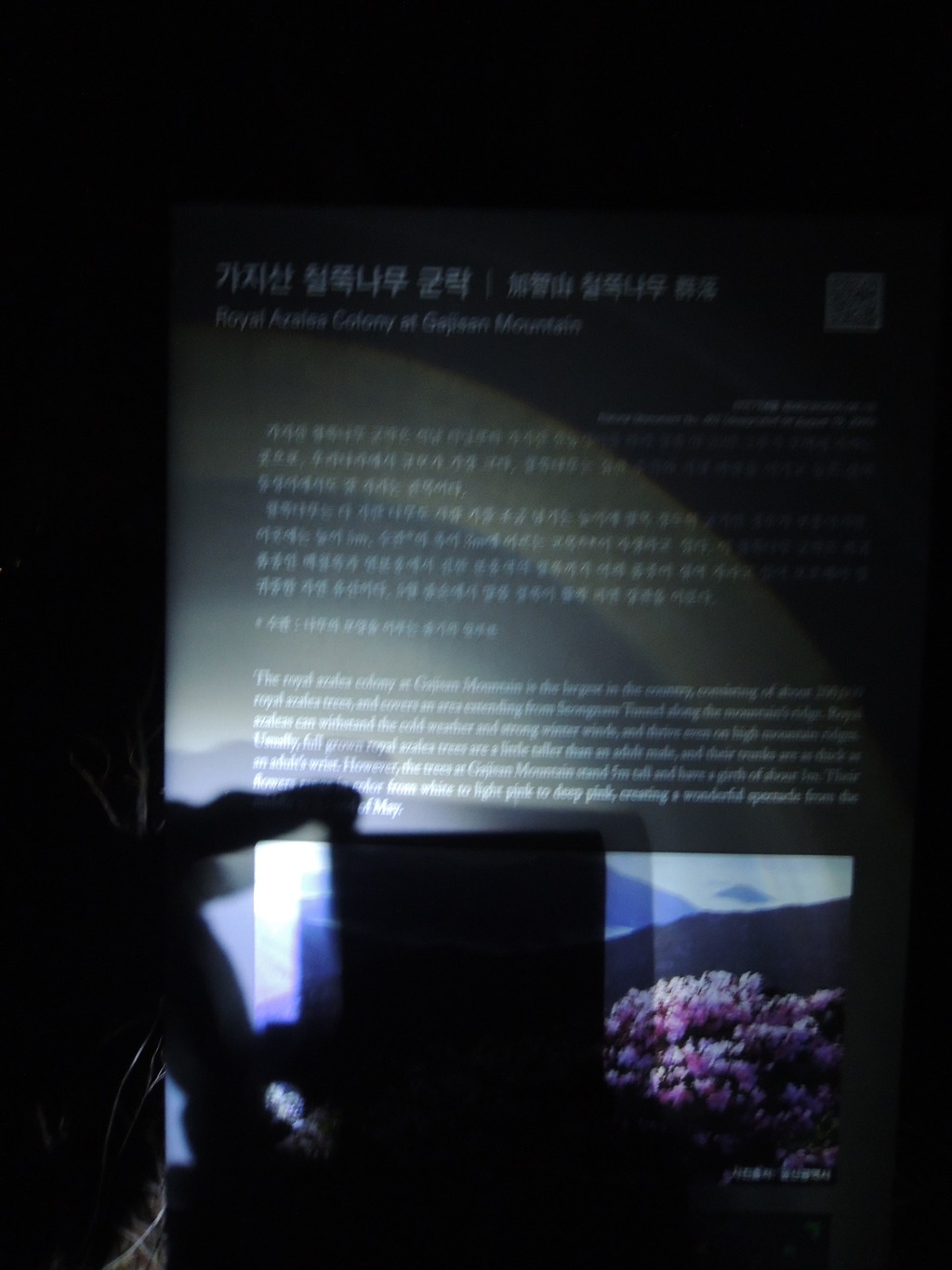 간월산자연휴양림 이미지