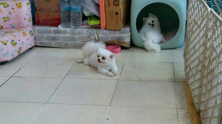 엄마커피 이미지