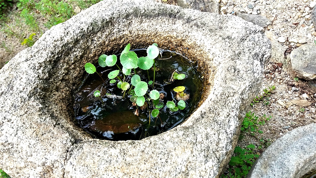청림원 이미지