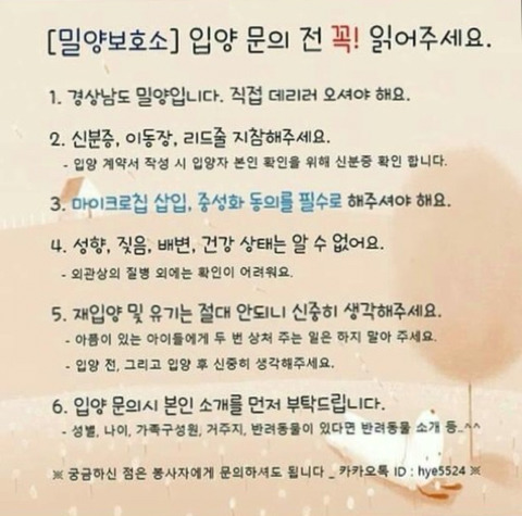 태어난지 얼마 안 된 새끼들과 어미견들이 많은 밀양보호소의 아이들을 구해주세요. 도와주세요 | 인스티즈