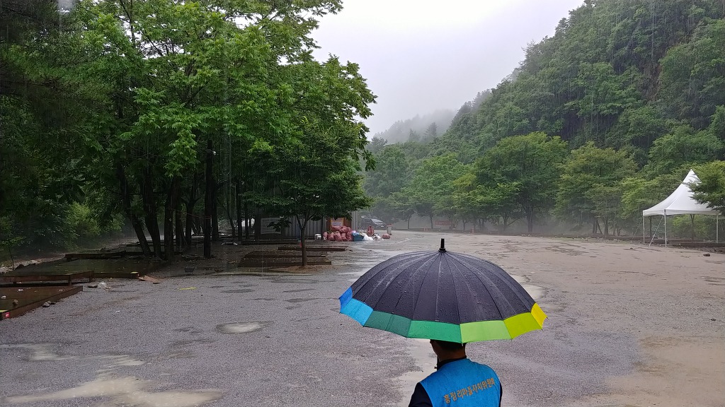 비로야영장 이미지