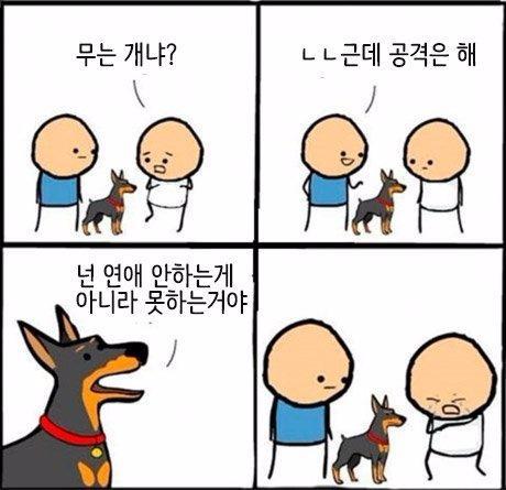 멍뭉이 입마개 해야되는 이유 | 인스티즈