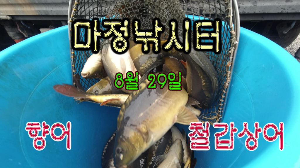 오늘은향어 이미지