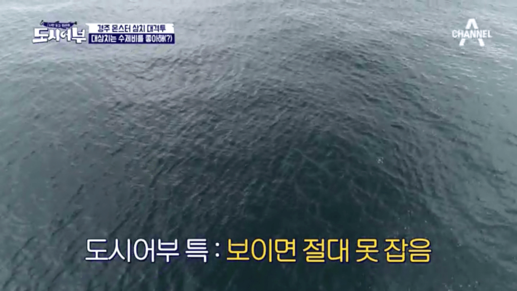자막 때문에 호불호 갈리는 프로그램 | 인스티즈