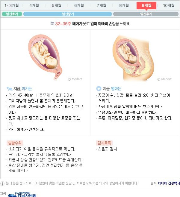 10달동안 무슨 변화가 일어나는걸까?: 임신 알아보기 | 인스티즈