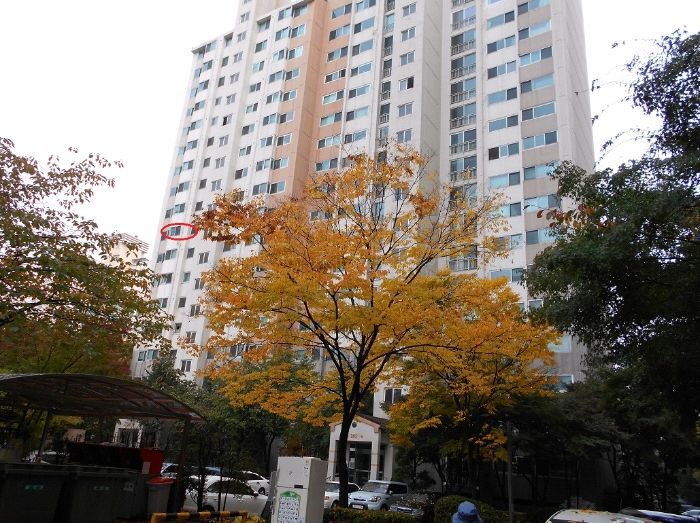 윤진치과의원 이미지