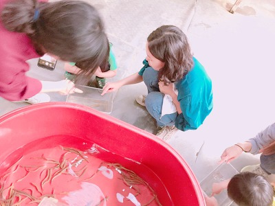 청계천연염색장 이미지